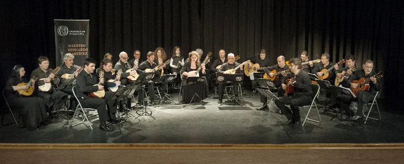 Orquesta de Pulso y Púa "Maestro Bernardo Martínez"