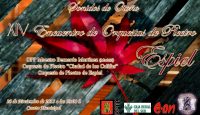 XIV Encuentro de Orquestas de Plectro de Espiel